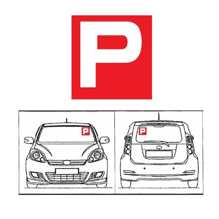 XTEAM CAR ACCESSORIES STICKER-P STANDARD EACH