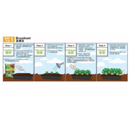 YASA-I SUPER VEGETABLE GROWING TRAY