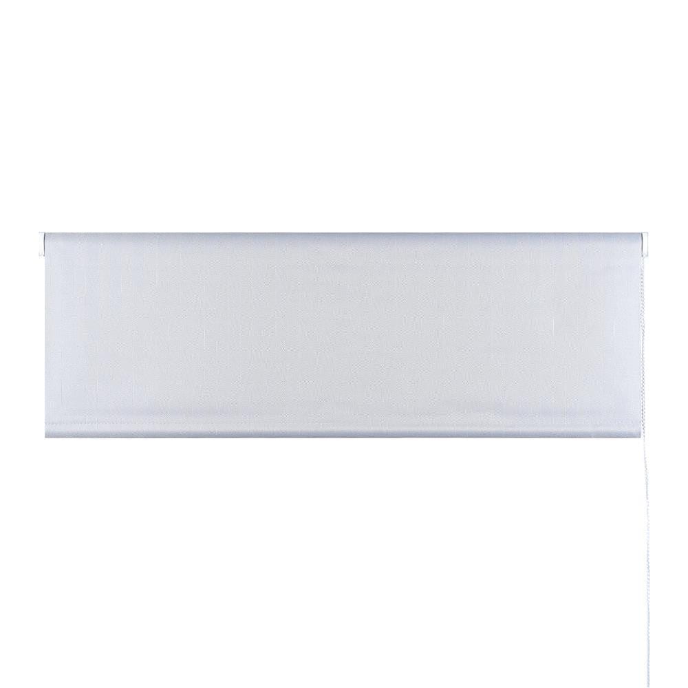 ROLLER BLIND HOME LIVING STYLE HERRING 100x160CM GRAY