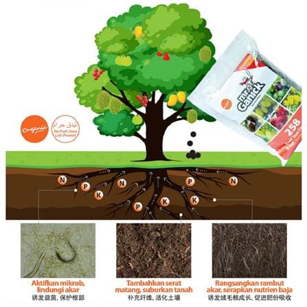 MR GANICK 258 ORGANIC FRUIT TREE FERTILIZER 1KG