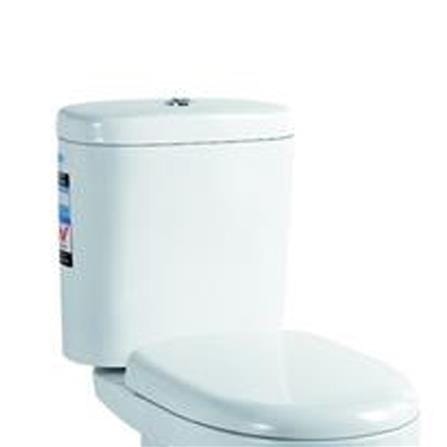 LIVINOX 2P TOILET  LWC8002-250/8002T 3/6L WHITE