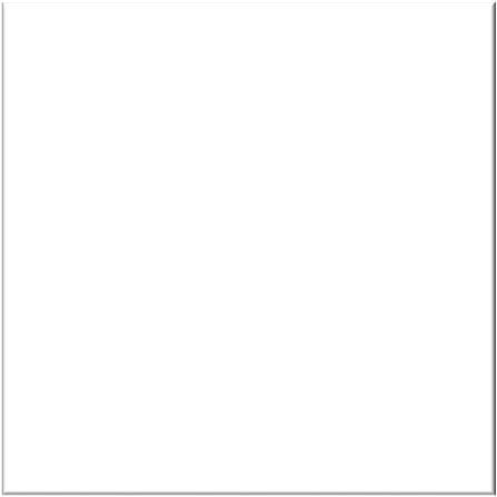 CITIGRES FLOORTILE 60X60 SUPER WHITE DOUBLE LAYER