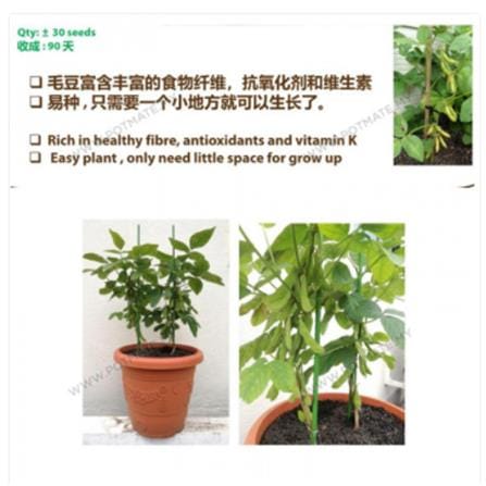 BABA VE-057 EDAMAME