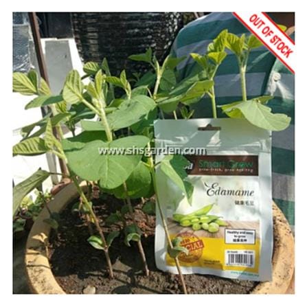 BABA VE-057 EDAMAME