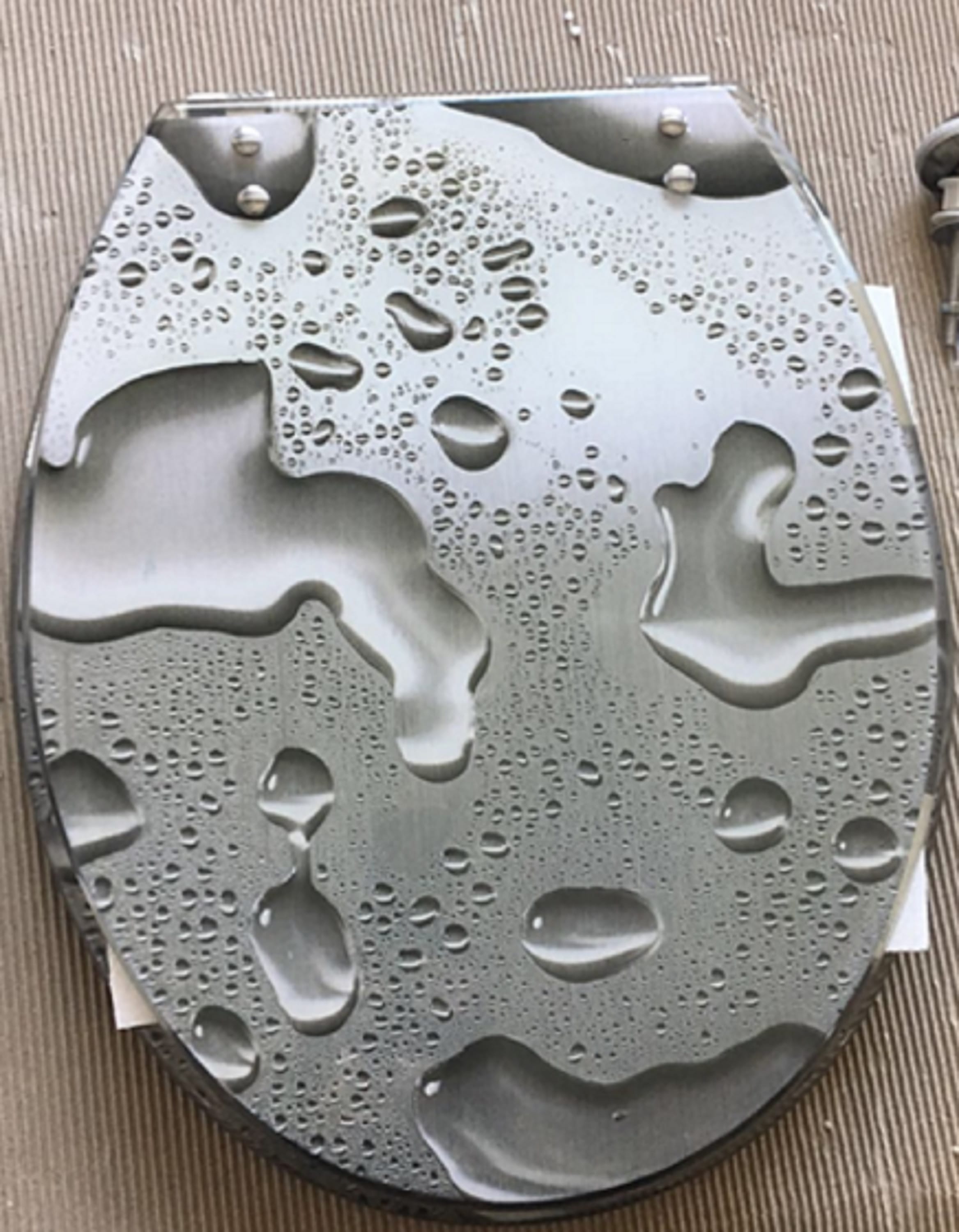 MOYA RESIN SOFT CLOSING TOILET SEAT PL-2019GY