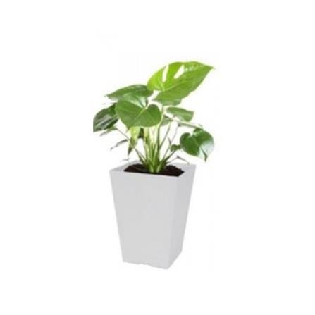 FELTON SQUARE POT FBL 2453 WHT (D25*H35)