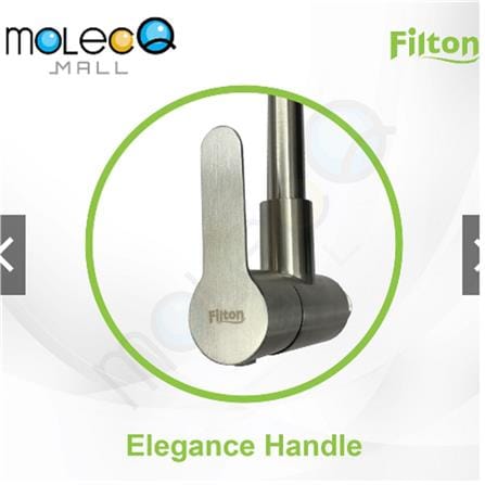 FILTON SINK FAUCET TF-SWDFL-02 (WDJCM)