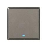 20A 1 GANG 1 WAY SWITCH WITH INDICATOR LIGHT CHAMPAGNE GREY HC2721L-DP-ST5 T&J