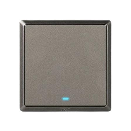 20A 1 GANG 1 WAY SWITCH WITH INDICATOR LIGHT CHAMPAGNE GREY HC2721L-DP-ST5 T&J