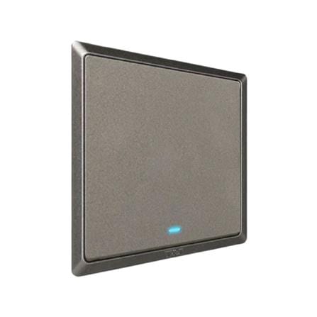 20A 1 GANG 1 WAY SWITCH WITH INDICATOR LIGHT CHAMPAGNE GREY HC2721L-DP-ST5 T&J