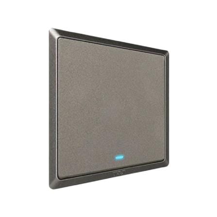 SWITCH 20A 1 GANG 1 WAY WITH INDICATOR LIGHT CHAMPAGNE GREY HC2721L-DP-ST5 T&J