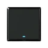 SWITCH 20A 1 GANG 1 WAY WITH INDICATOR LIGHT CHARCOAL BLACK HC2721L-DP-SBL T&J