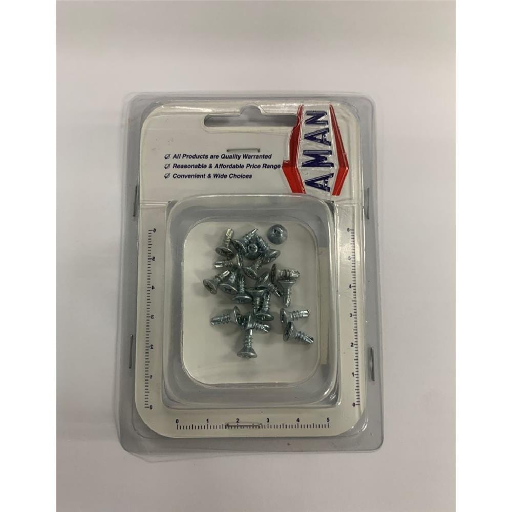 AMAN FLAT HEAD SCREW 310 20S DS-FH310