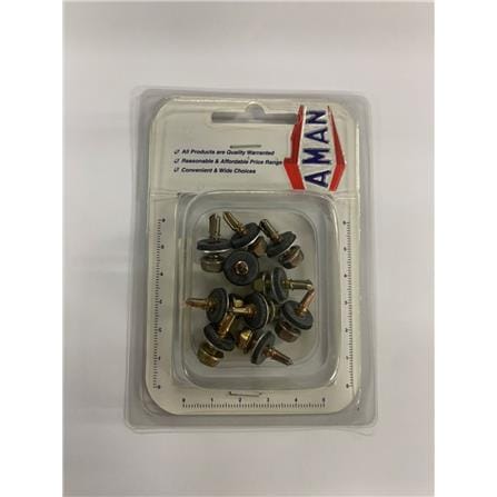 AMAN ZY SELF DRILL SCREW 516 10S DS-HW516