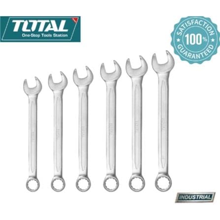 1 ea TOTAL COMBINATION WRENCH 21 x 253mm
