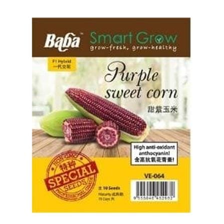BABA VE-064 F1 PURPLE SWEET CORN