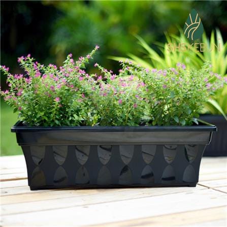 BABA  GRAY  BIO POT