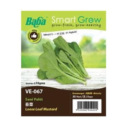 BABA  VE-067 LOOSE LEAF MUSTARD