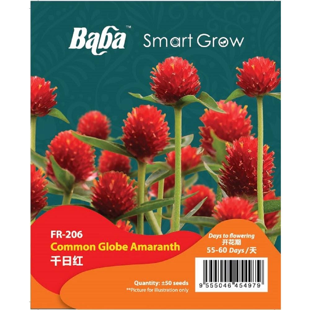 BABA COMMON GLOBE AMARANTH SEED FR-006