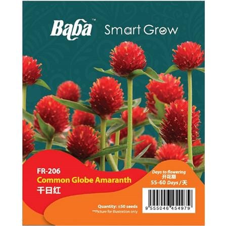 BABA COMMON GLOBE AMARANTH SEED FR-006