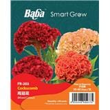 BABA COCKSCOMB SEED FR-003