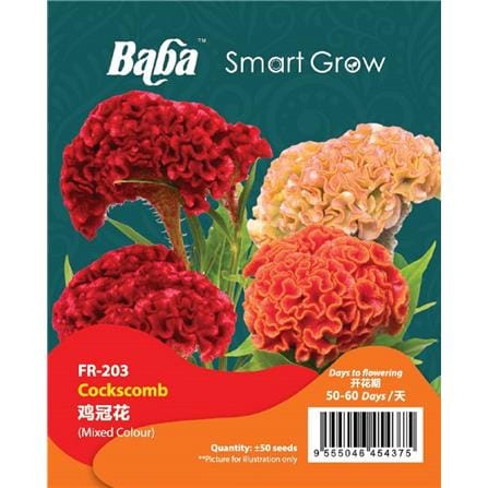 BABA COCKSCOMB SEED FR-003