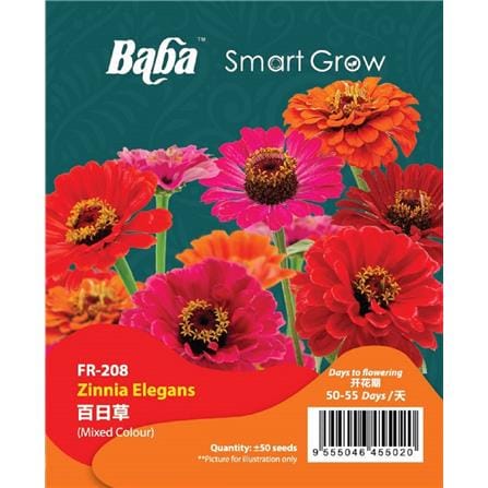 BABA ZINNIA ELEGANS SEED FR-008