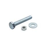 HEX BOLTS DEXZON 5/16INX2IN 0.5KG WH