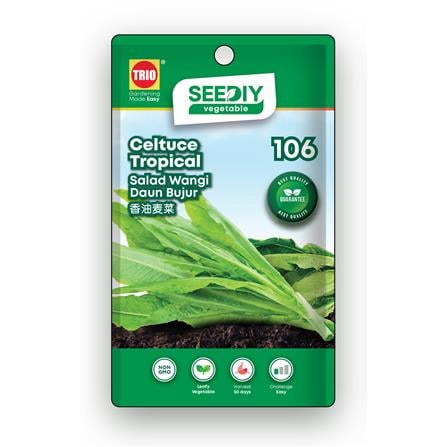 TRIO SEEDIY CELTUCE TROPICAL SEED