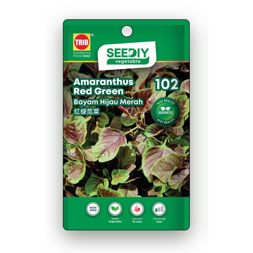 TRIO SEEDIY AMARANTHUS RED GREEN SEED