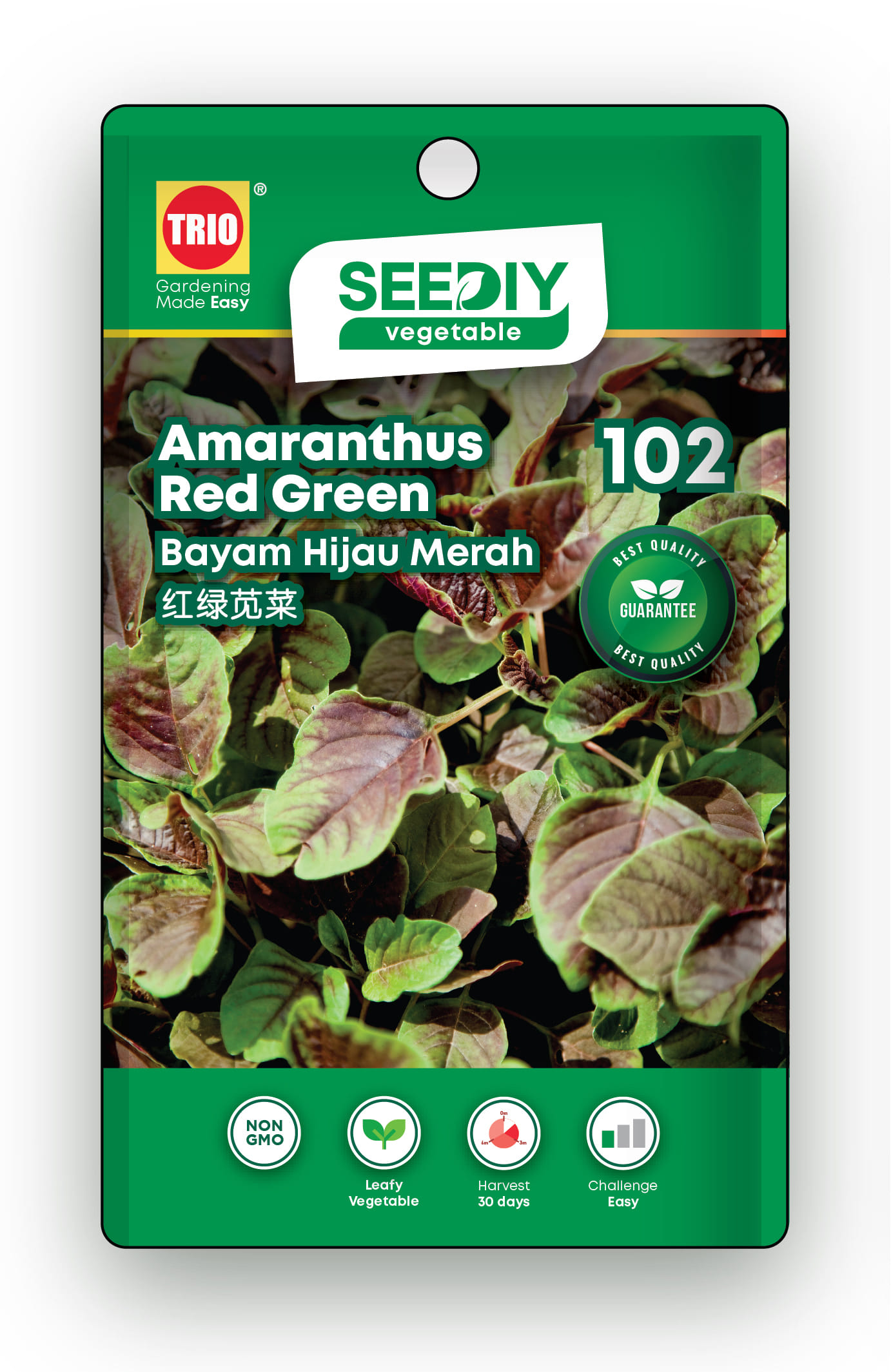 TRIO SEEDIY AMARANTHUS RED GREEN SEED