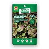 TRIO SEEDIY AMARANTHUS RED GREEN SEED
