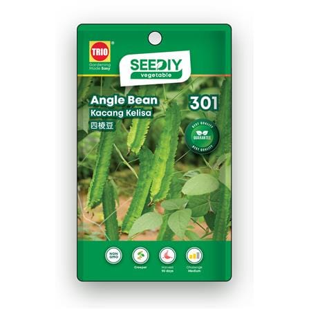 TRIO SEEDIY ANGLE BEAN SEED