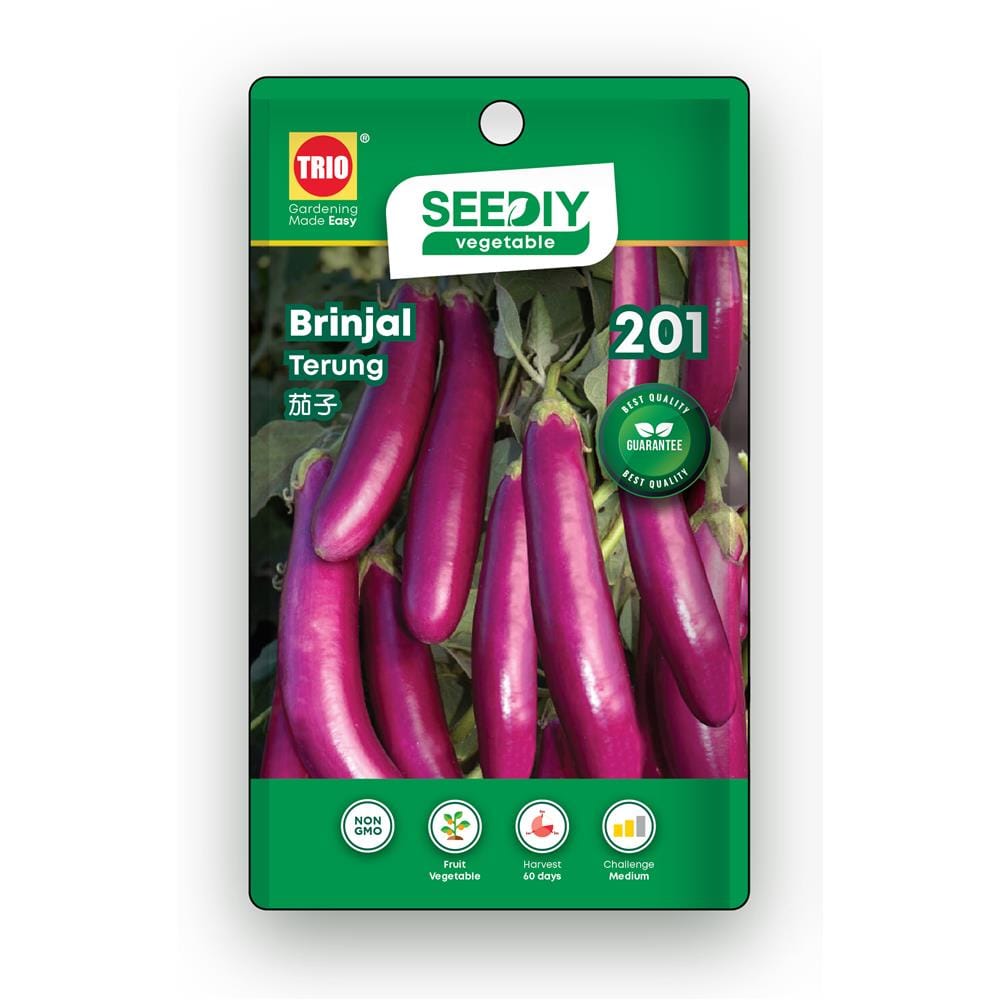 TRIO SEEDIY BRINJAL SEED