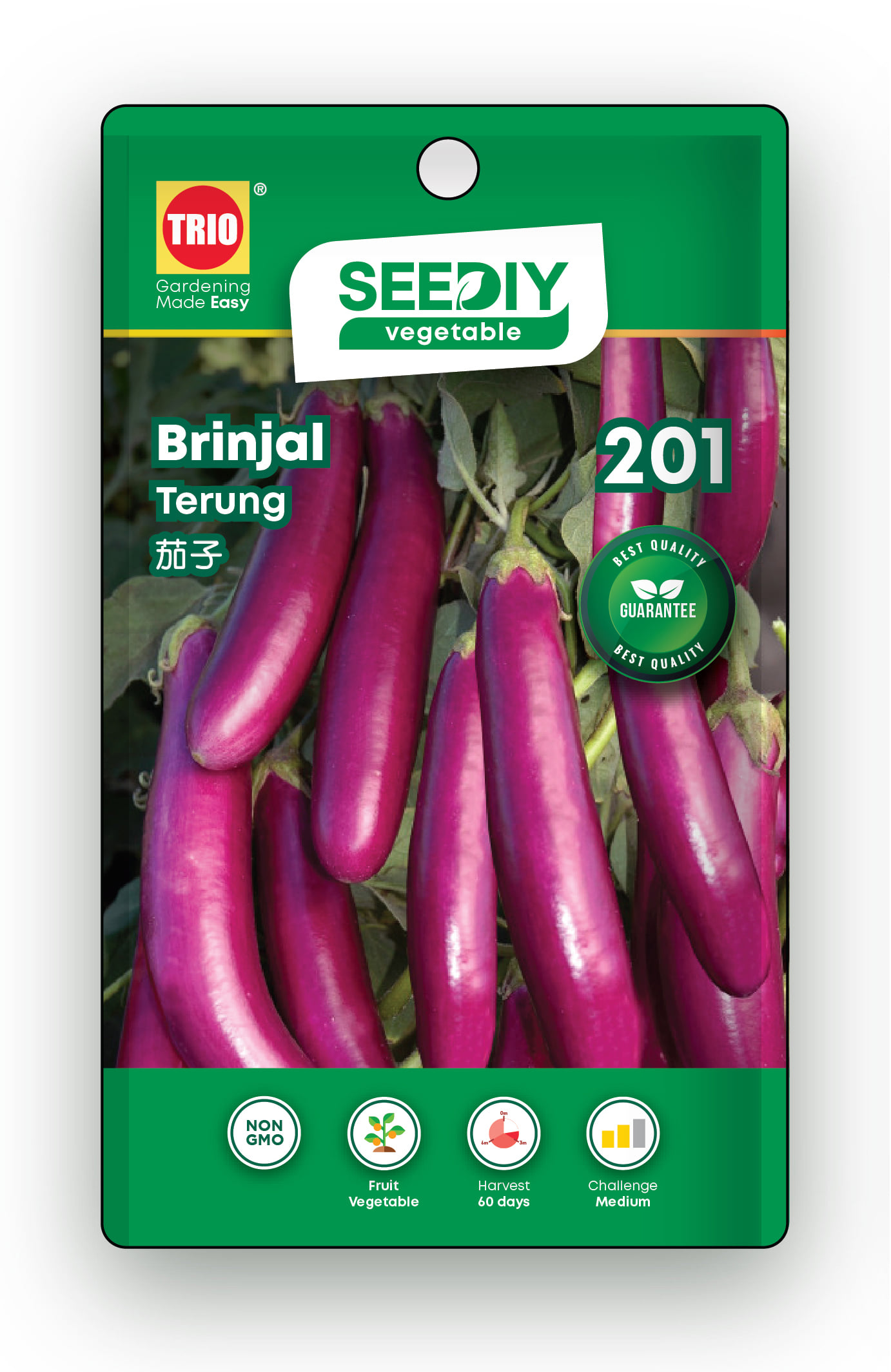 TRIO SEEDIY BRINJAL SEED
