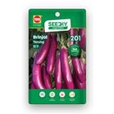 TRIO SEEDIY BRINJAL SEED