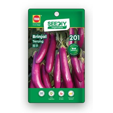 TRIO SEEDIY BRINJAL SEED