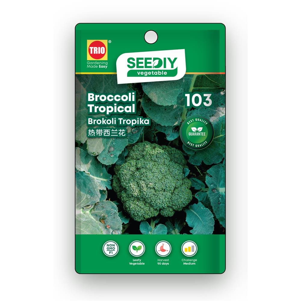 TRIO SEEDIY BROCCOLI TROPICAL SEED