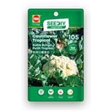 TRIO SEEDIY CAULIFLOWER TROPICAL SEED