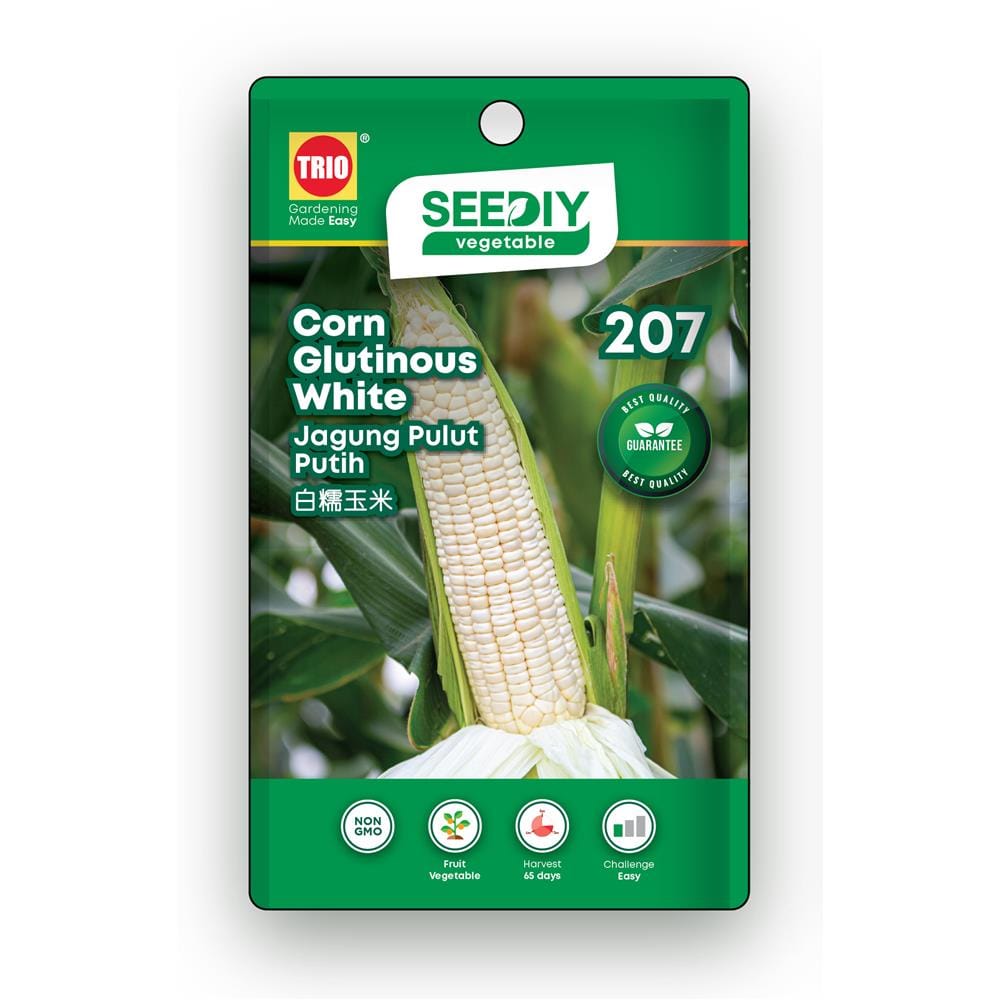 TRIO SEEDIY CORN GLUTINOUS WHITE SEED