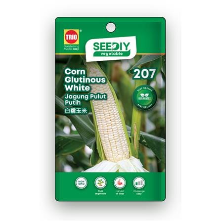 TRIO SEEDIY CORN GLUTINOUS WHITE SEED