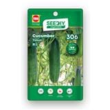 TRIO SEEDIY CUCUMBER SEED