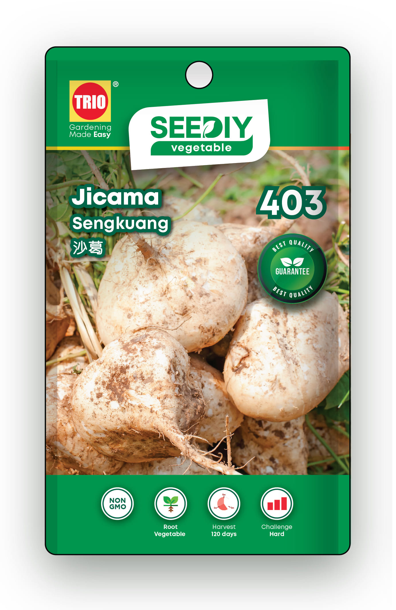 TRIO SEEDIY JICAMA SEED