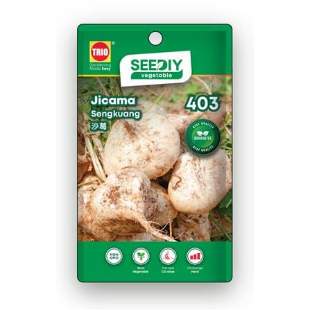 TRIO SEEDIY JICAMA SEED