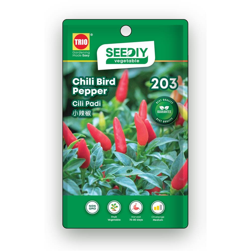 TRIO SEEDIY CHILI BIRD PEPPER SEED