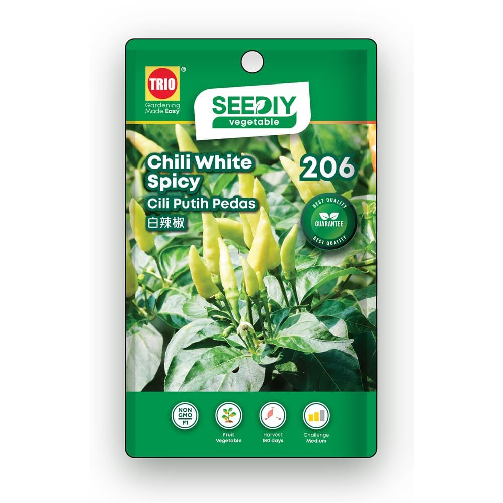 TRIO SEEDIY CHILI WHITE SPICY SEED