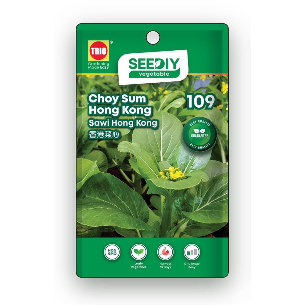 TRIO SEEDIY CHOY SUM HONG KONG SEED