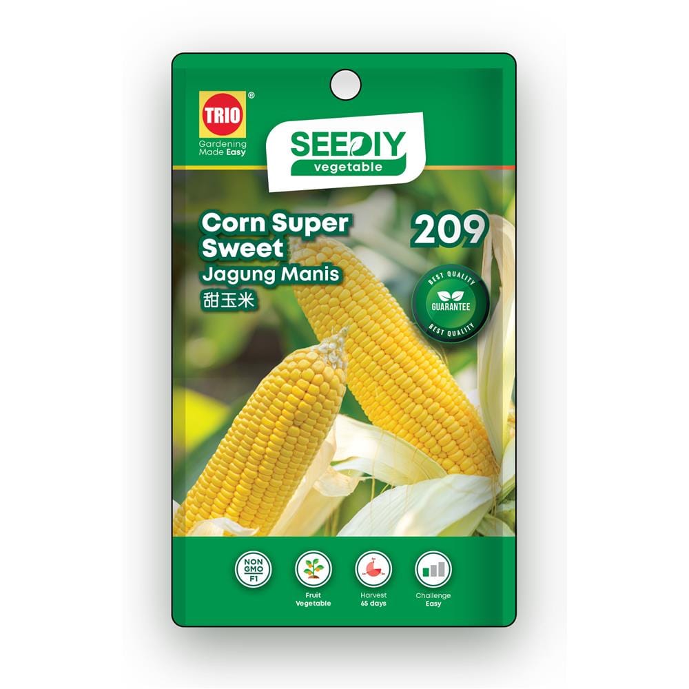 TRIO SEEDIY CORN SUPER SWEET SEED