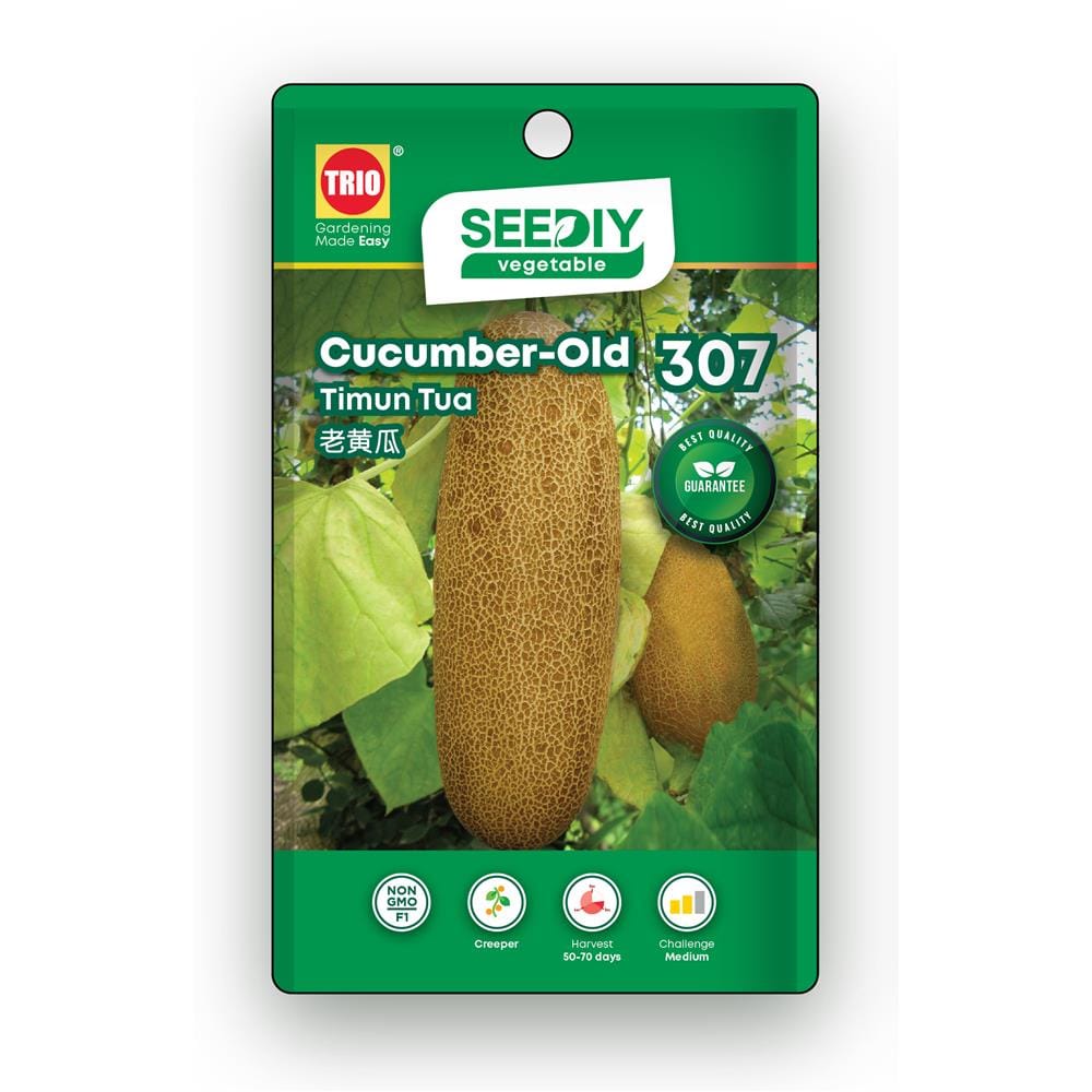 TRIO SEEDIY CUCUMBER-OLD SEED