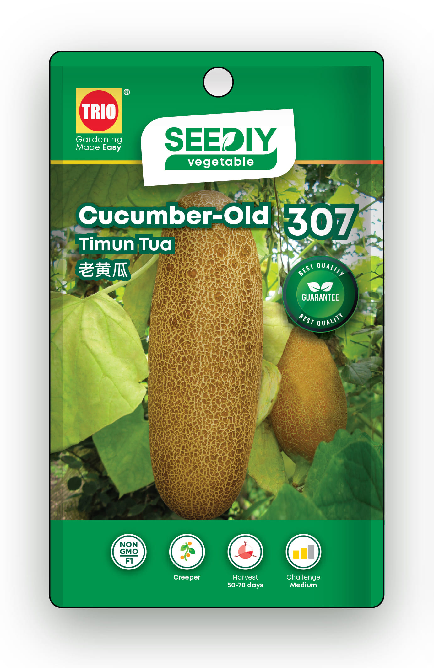TRIO SEEDIY CUCUMBER-OLD SEED